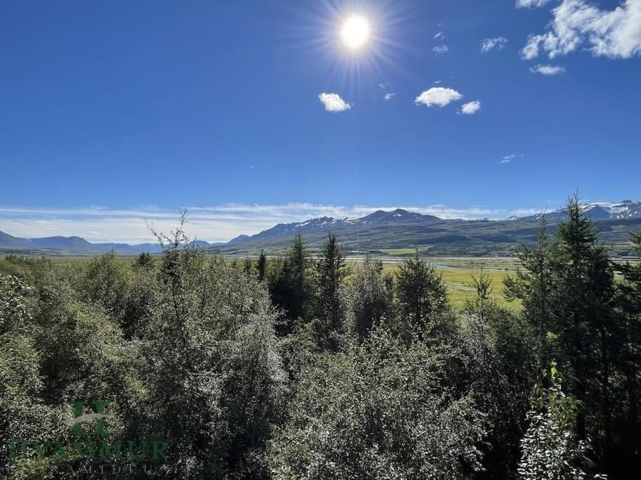 Forest Hideaway Near Akureyri Exterior photo